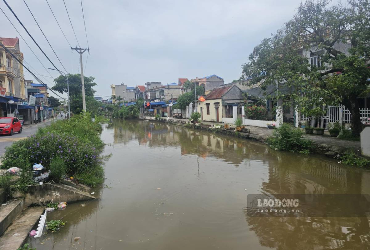 The Van Lai River section in Ninh Giang commune, Ninh Binh province. Photo: Pham Trong