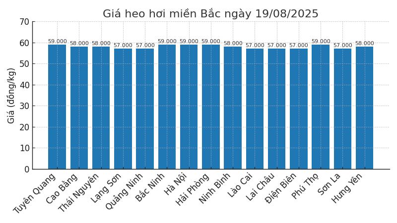 Gia heo hoi ngay 1.8 tai khu vuc mien Bac. Do hoa: Thuy Linh
