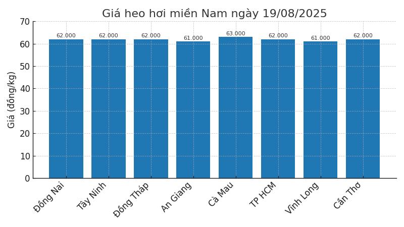 Gia heo hoi ngay 19.8 tai khu vuc mien Nam. Do hoa: Thuy Linh