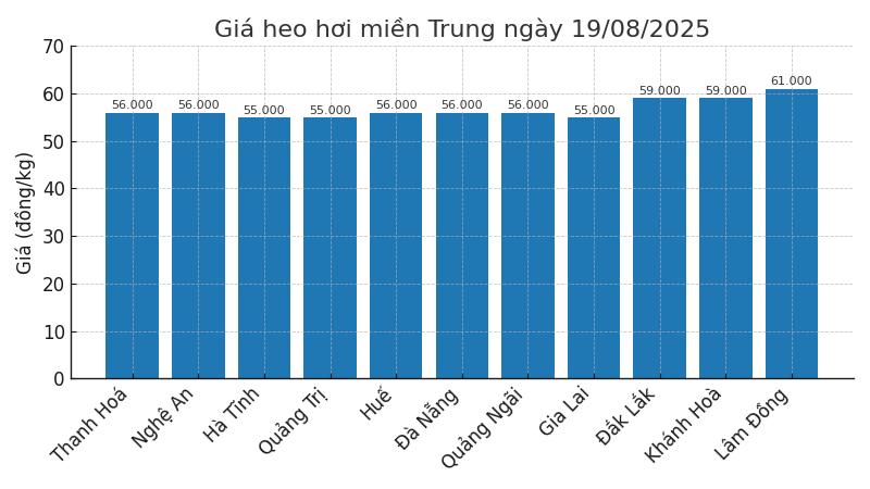 Gia heo hoi ngay 19.8 tai khu vuc mien Trung. Do hoa: Thuy Linh