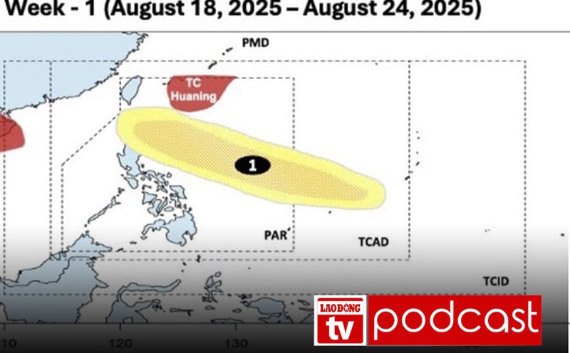 Morning news 20.8: Tropical depression forecast to continuously appear around the East Sea