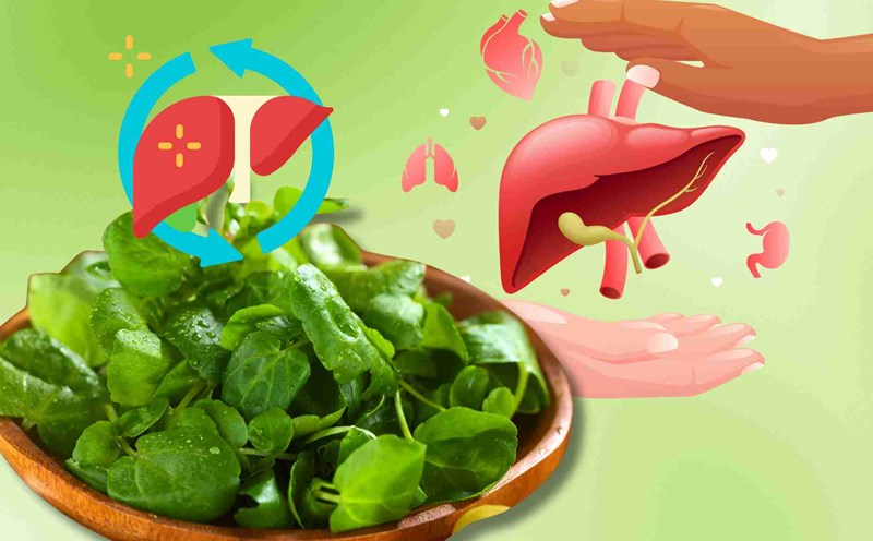 Vegetables are rated highest in the nutritional table, helping to detoxify the liver