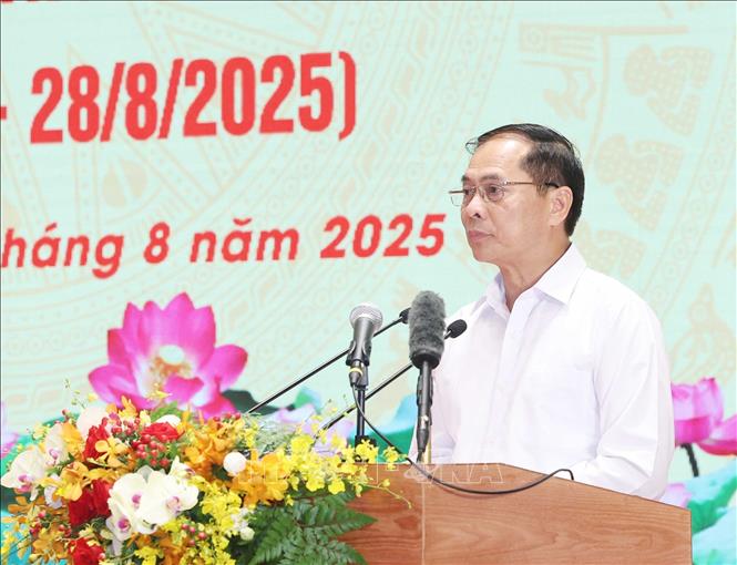 Dong chi Bui Thanh Son, Uy vien Trung uong Dang, Pho Thu tuong Chinh phu, Bo truong Bo Ngoai giao phat bieu. Anh: Thong Nhat/TTXVN