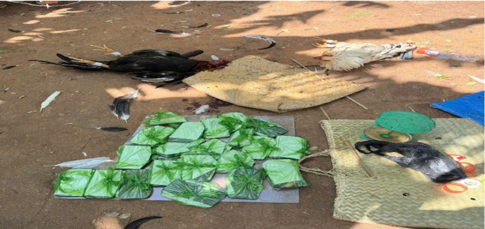 돈을 걸고 닭싸움을 조직한 현장의 증거물. 사진: 공안 제공