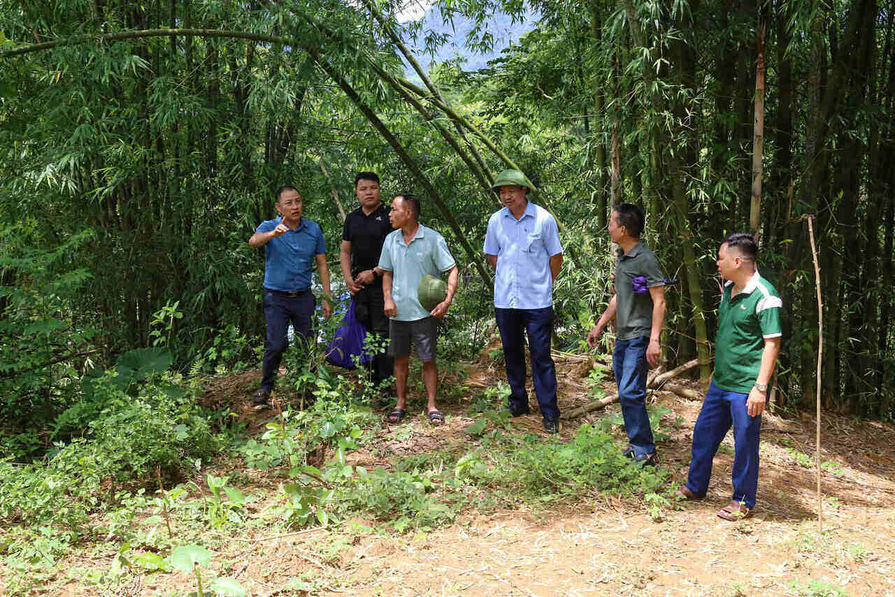Chinh quyen dia phuong khao sat vi tri xuat hien vet nut tai xom Bai Khoai. Anh: Binh Khang