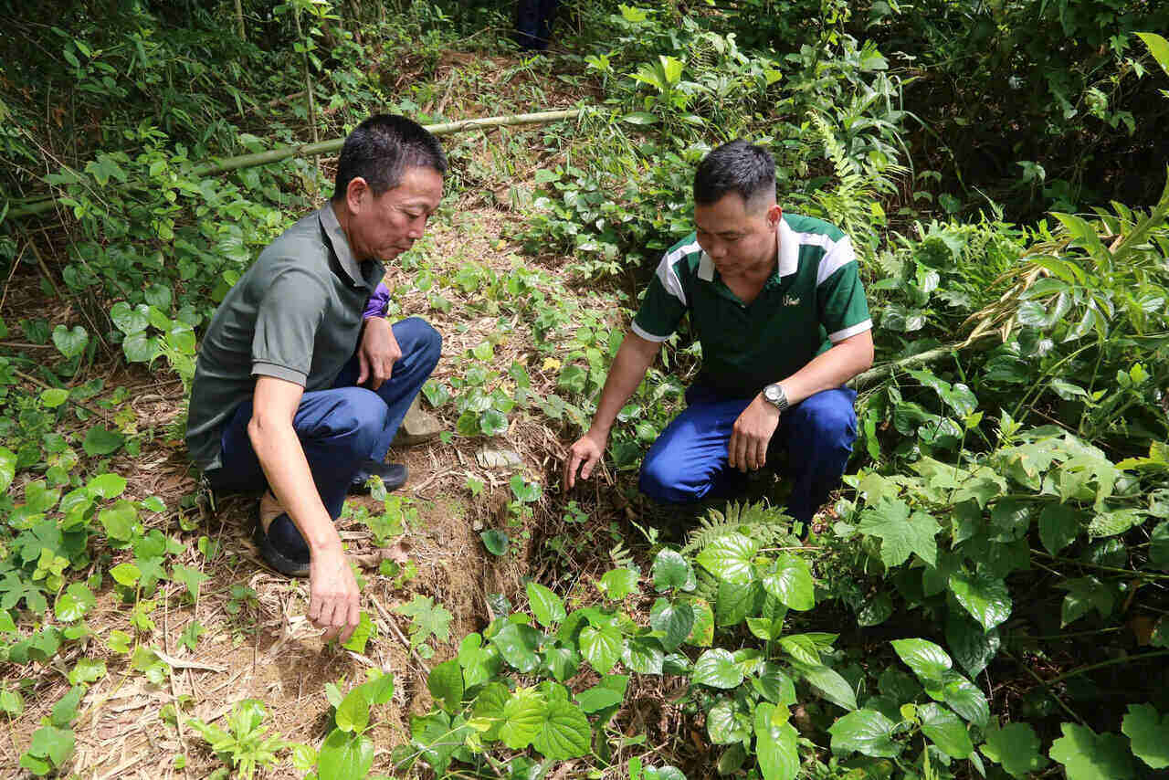Vet nut tao ranh sau, dai hang tram met phia tren doi, sau khu vuc sinh song cua 7 ho dan xom Bai Khoai. Anh: Binh Khang
