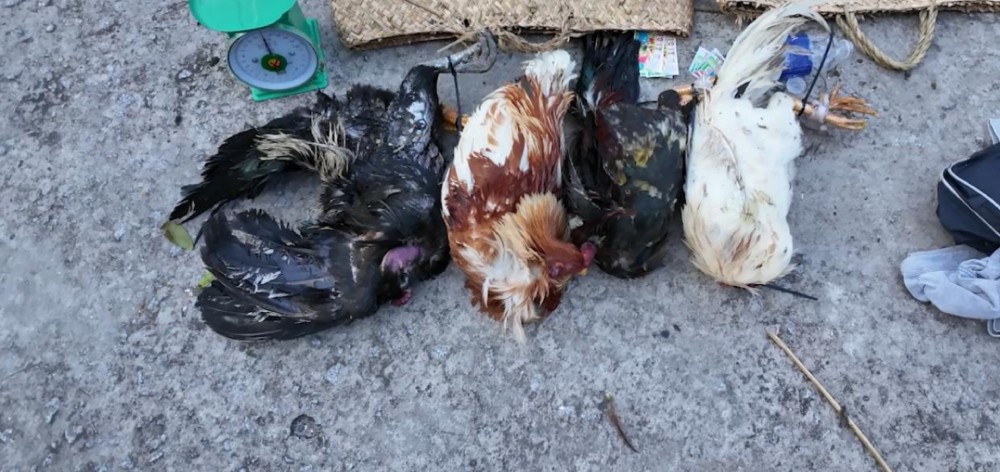 Breaking up the gambling den, the police seized many related exhibits.