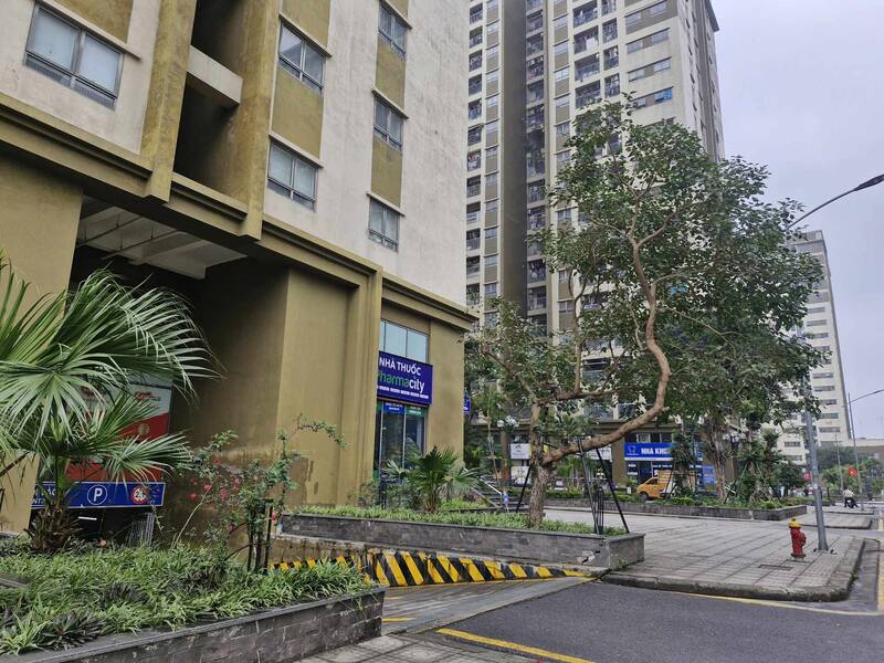 Las regulaciones y condiciones sobre el nivel de ingresos para la compra de viviendas sociales estan siendo de interes para los lectores. Foto: Thu Giang