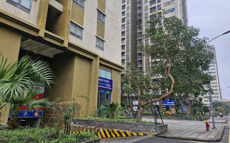 Regulations and conditions on the income level for buying social housing are of interest to readers and searches. Photo: Thu Giang
