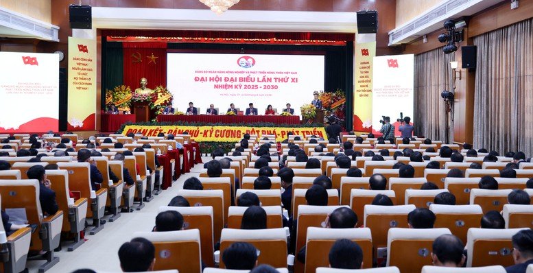 2025~2030년 임기의 제11차 아그리뱅크 당위원회 대표자 대회가 2025년 8월 2일 오전 하노이에서 열렸습니다. 사진: 아그리뱅크