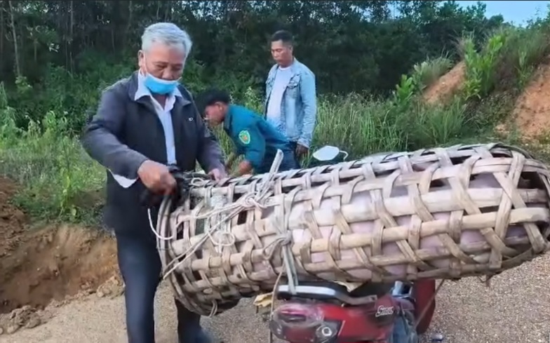 Co quan chuc nang xa Phuoc Tra, TP.Da Nang phat hien 2 heo benh dang tren duong dua di tieu thu. Anh: DVCC
