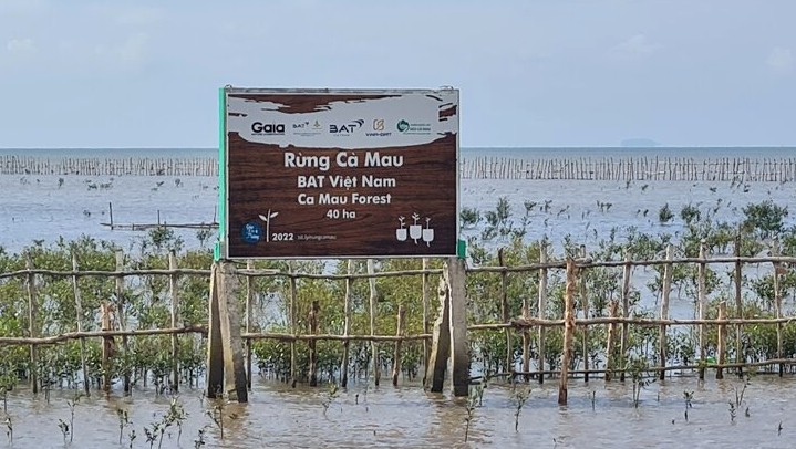 Rung duoc hoi sinh noi bai boi Dat Mui. Anh: Nhat Ho