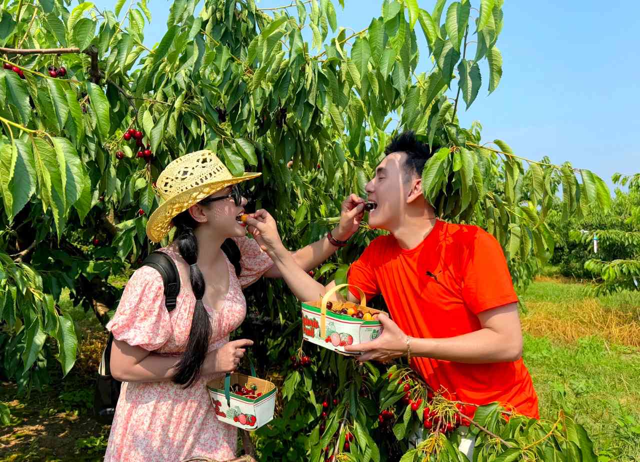 Anh: Nghe si cung cap.