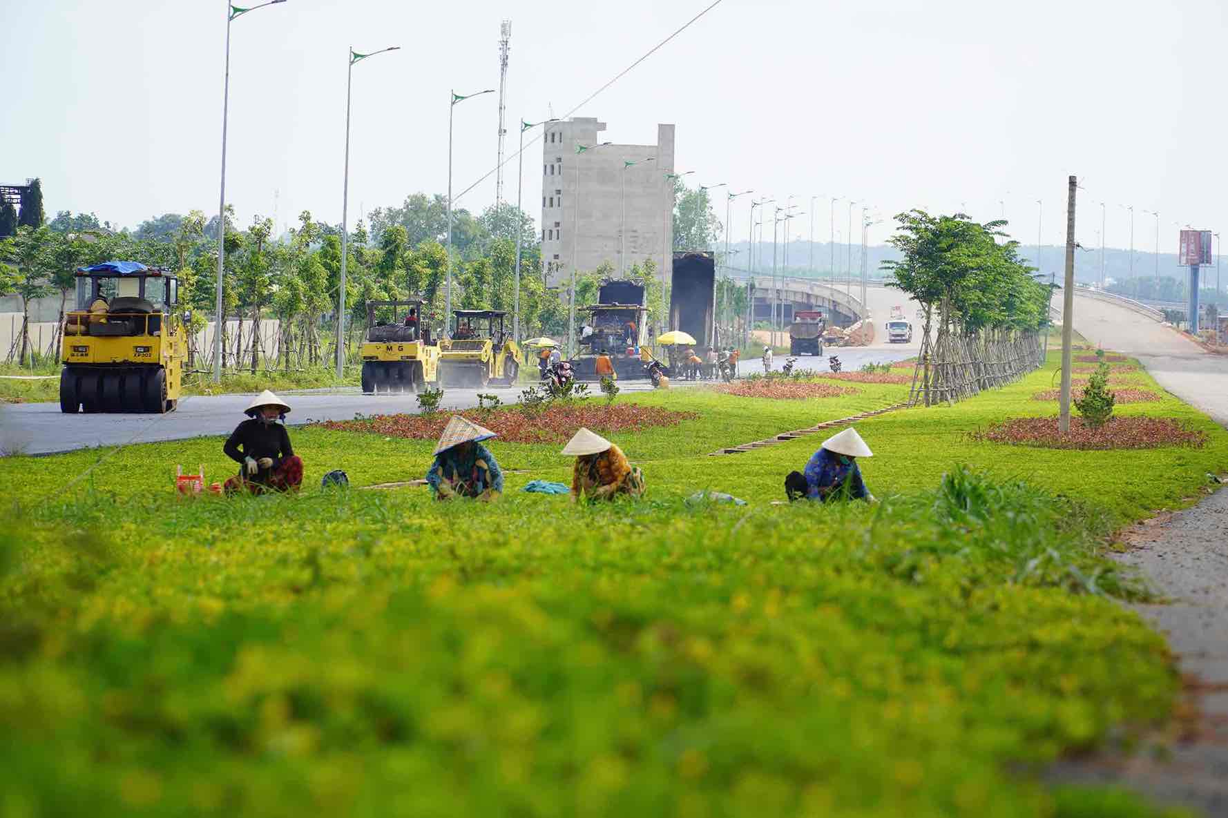 Trong cay xanh tai tuyen duong T1, T2 ket noi san bay Long Thanh. Anh: HAC