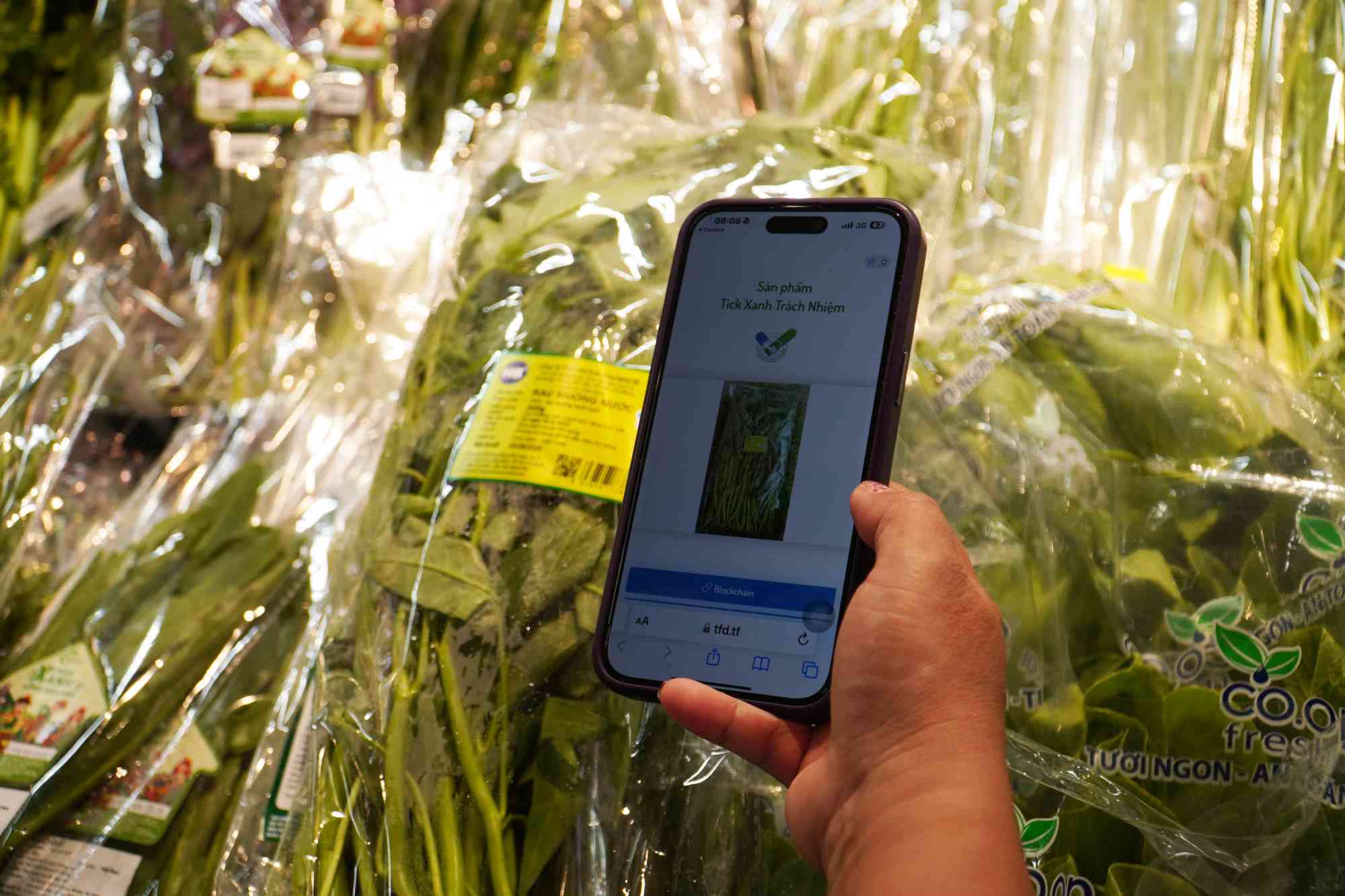 Re-organize the brand thanks to responsible green ticks.