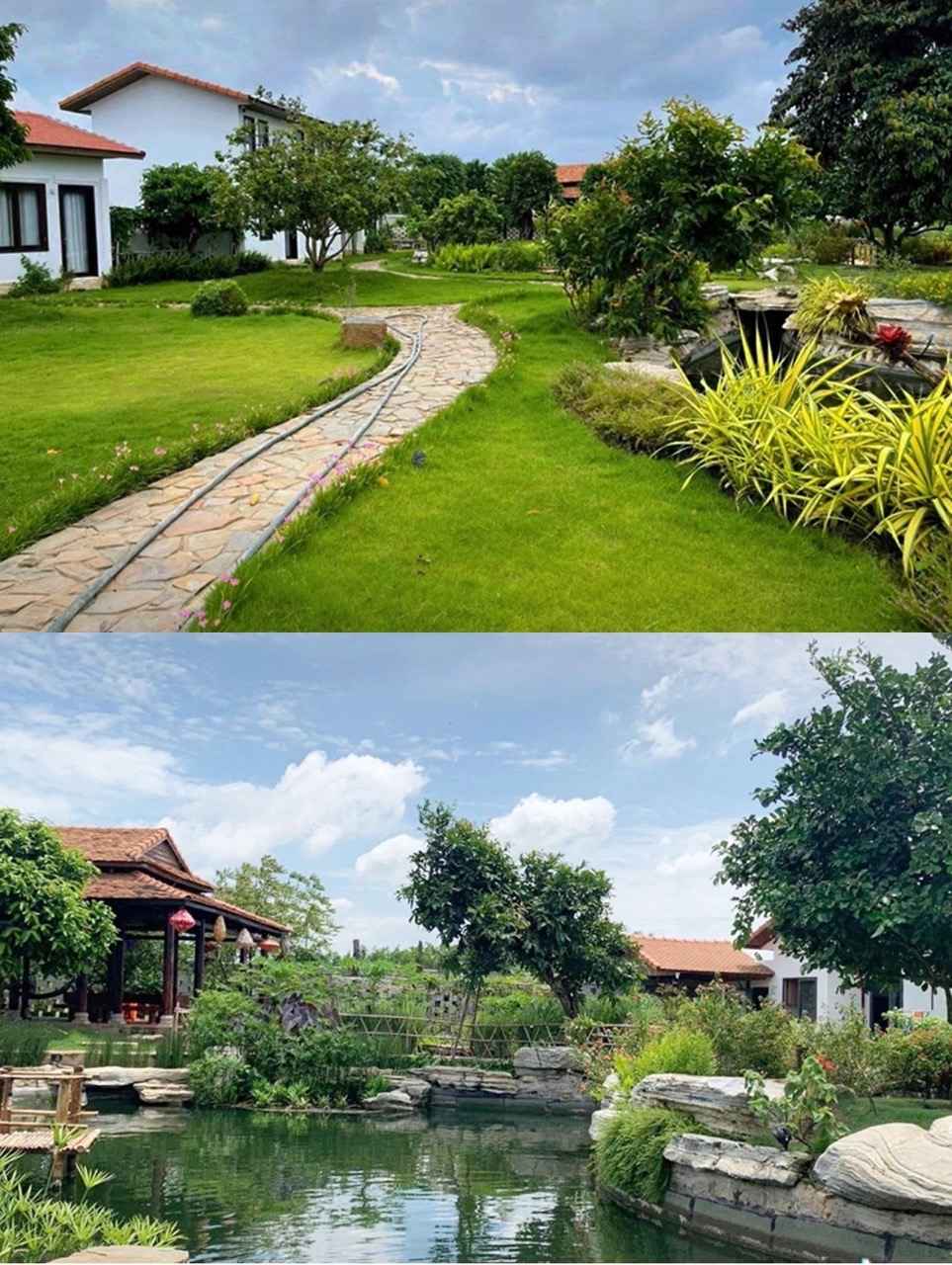 Anh: Nghe si cung cap.