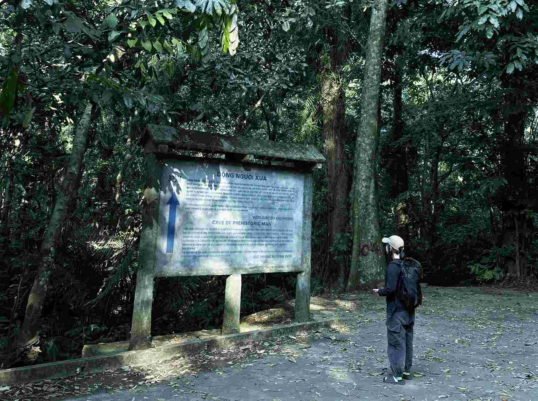Khong nen di vao rung Cuc Phuong mot minh. Anh: Bich Ngoc