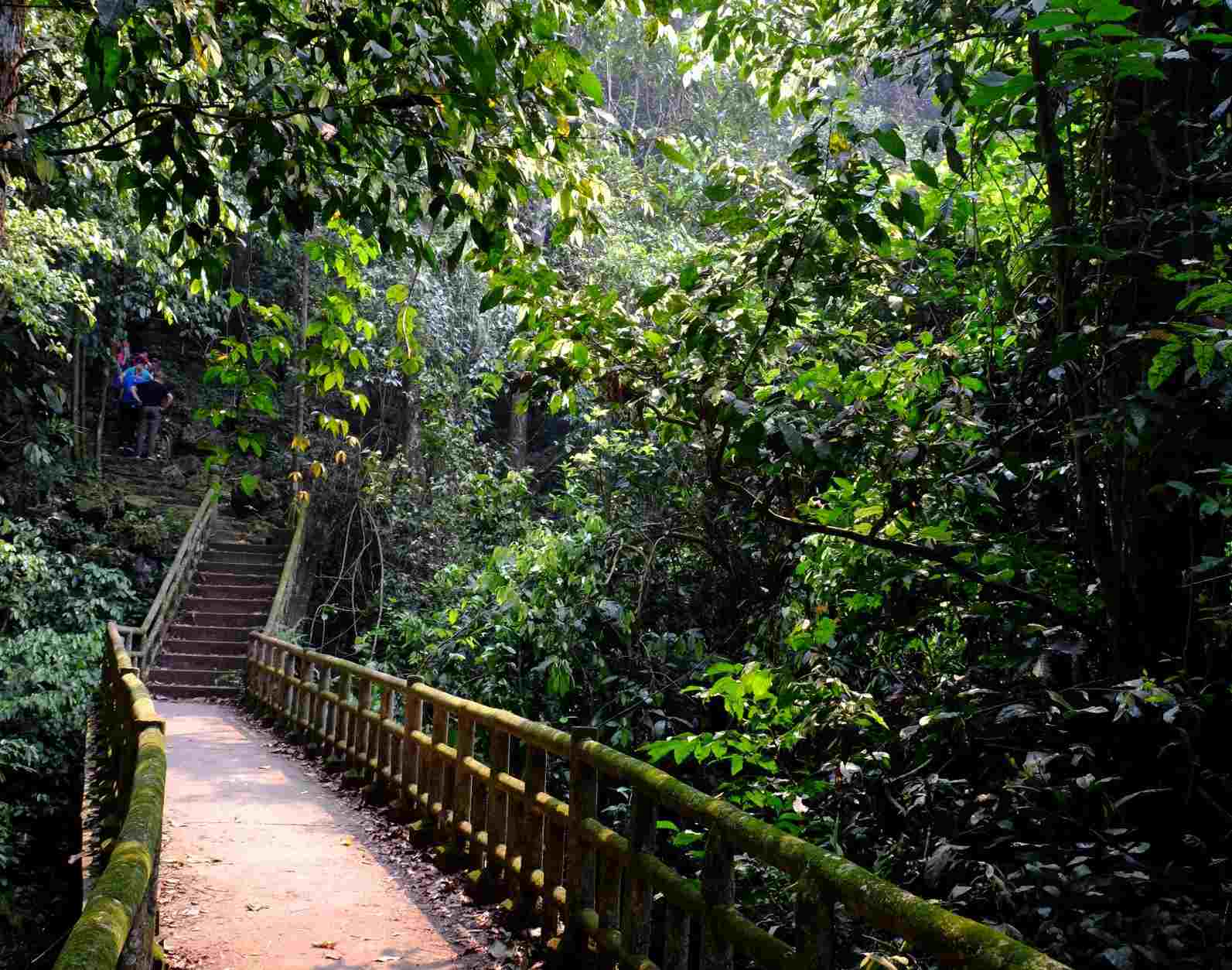 Nen di theo chi dan cua Vuon quoc gia Cuc Phuong, thue huong dan vien dia phuong de tranh lac duong. Anh: Huong Chi