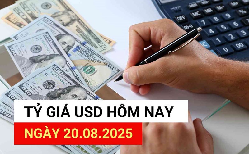 USD exchange rate today, August 20, 2025.