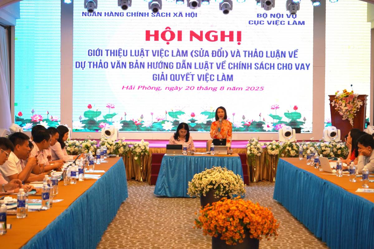 Conferencia para presentar la Ley de Empleo (modificada) en Hai Phong. Foto: Mai Dung