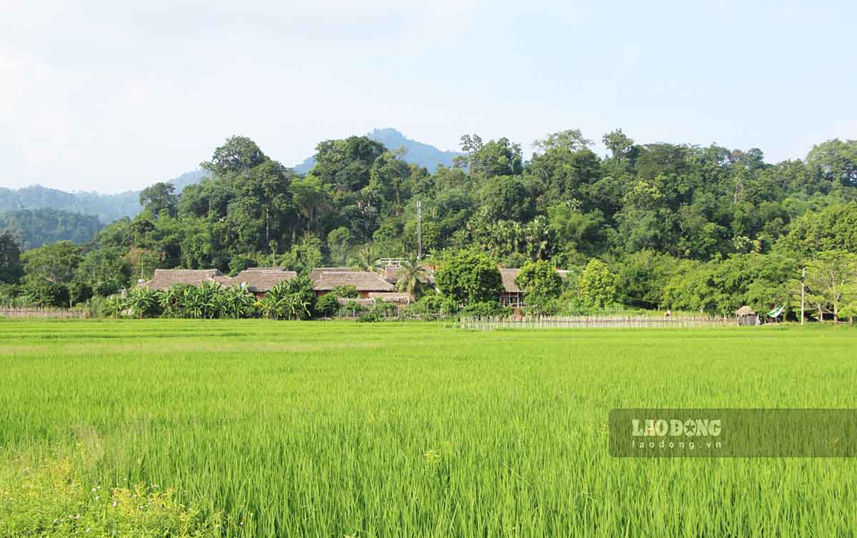 Tan Trao ngay nay van duoc nhung canh rung gia bao boc. Anh: Nguyen Tung.