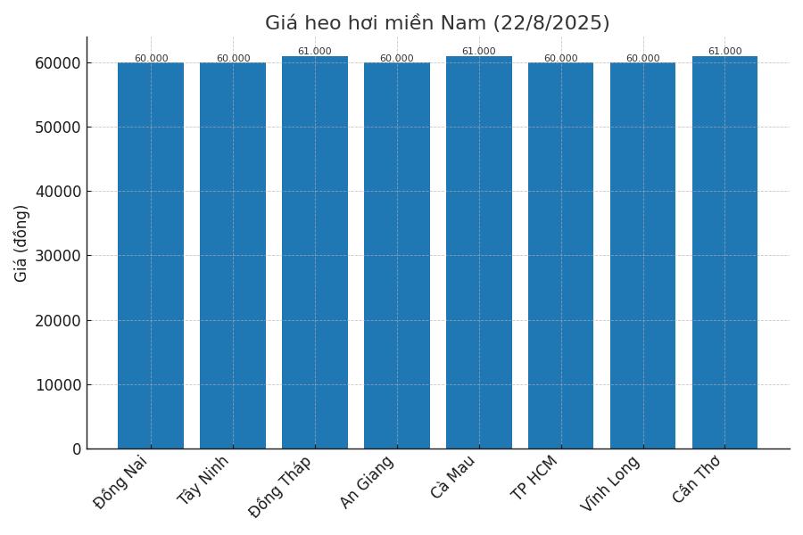 Gia heo hoi ngay 22.8 tai khu vuc mien Nam. Do hoa: Thuy Linh