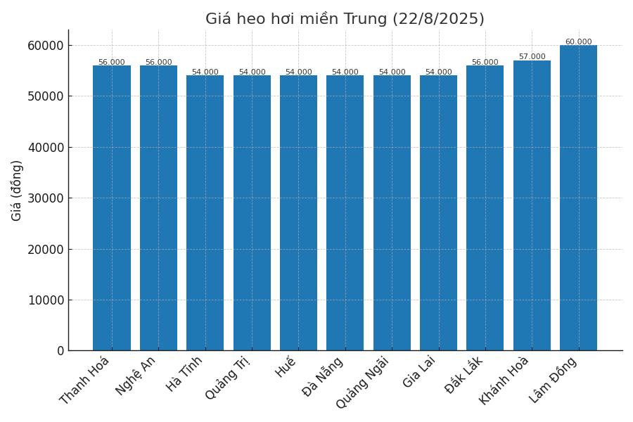 Gia heo hoi ngay 22.8 tai khu vuc mien Trung. Do hoa: Thuy Linh