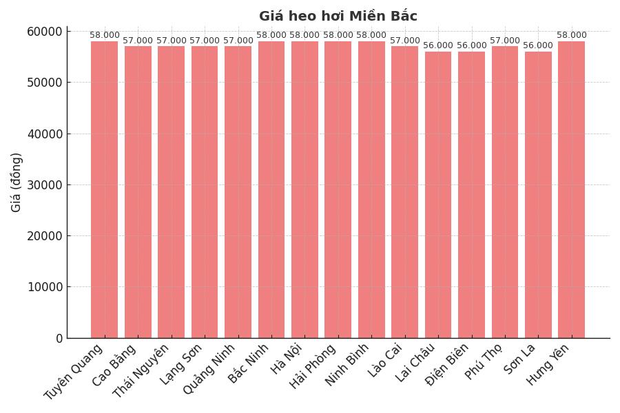 Gia heo hoi ngay 20.8 tai khu vuc mien Bac. Do hoa: Thuy Linh