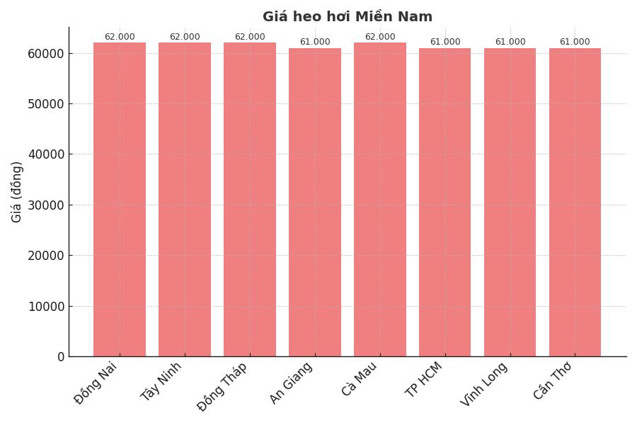Gia heo hoi ngay 20.8 tai khu vuc mien Nam. Do hoa: Thuy Linh