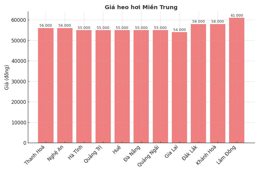 Gia heo hoi ngay 20.8 tai khu vuc mien Trung. Do hoa: Thuy Linh