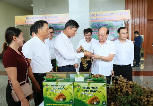 5만 톤 이상의 흥옌 용안이 미국 브라질 EU 및 까다로운 시장으로 수출될 예정입니다. 사진: 흥옌성 전자 정보 포털
