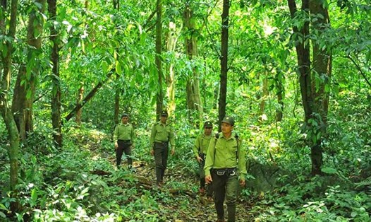 Sở Du lịch Ninh Bình khuyến cáo biện pháp đảm bảo an toàn cho khách du lịch. Ảnh: Đức Cường