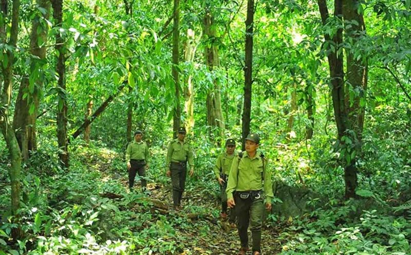 Ninh Binh Department of Tourism recommends measures to ensure the safety of tourists. Photo: Duc Cuong