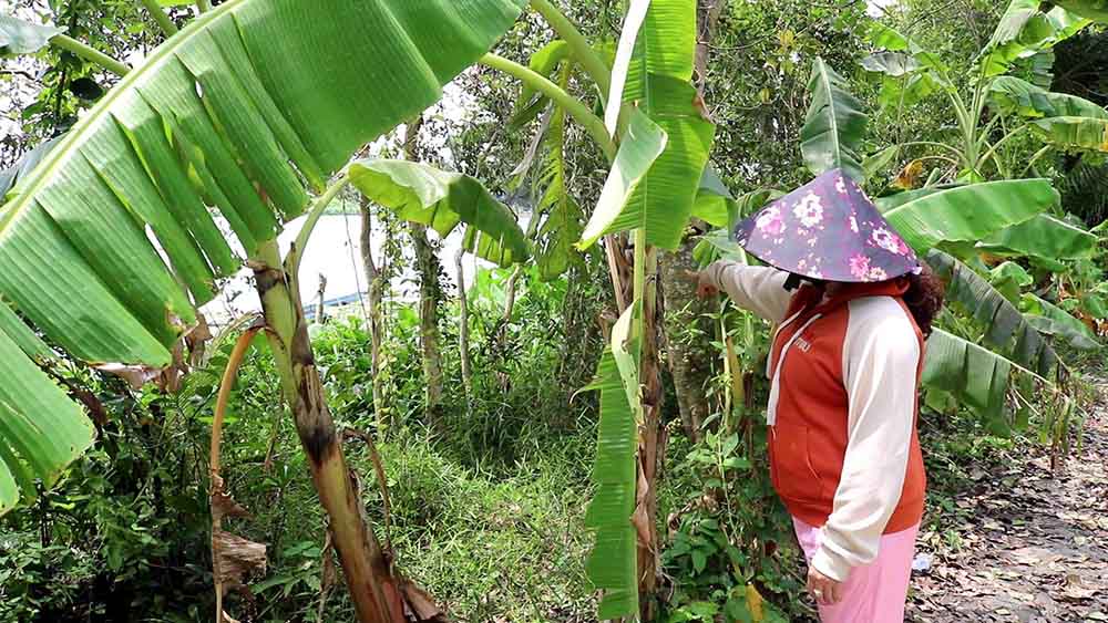 Tay Ninh省のVam Co Tay川で遺体が漂流しているのが発見された場所。写真:Nhat Duy