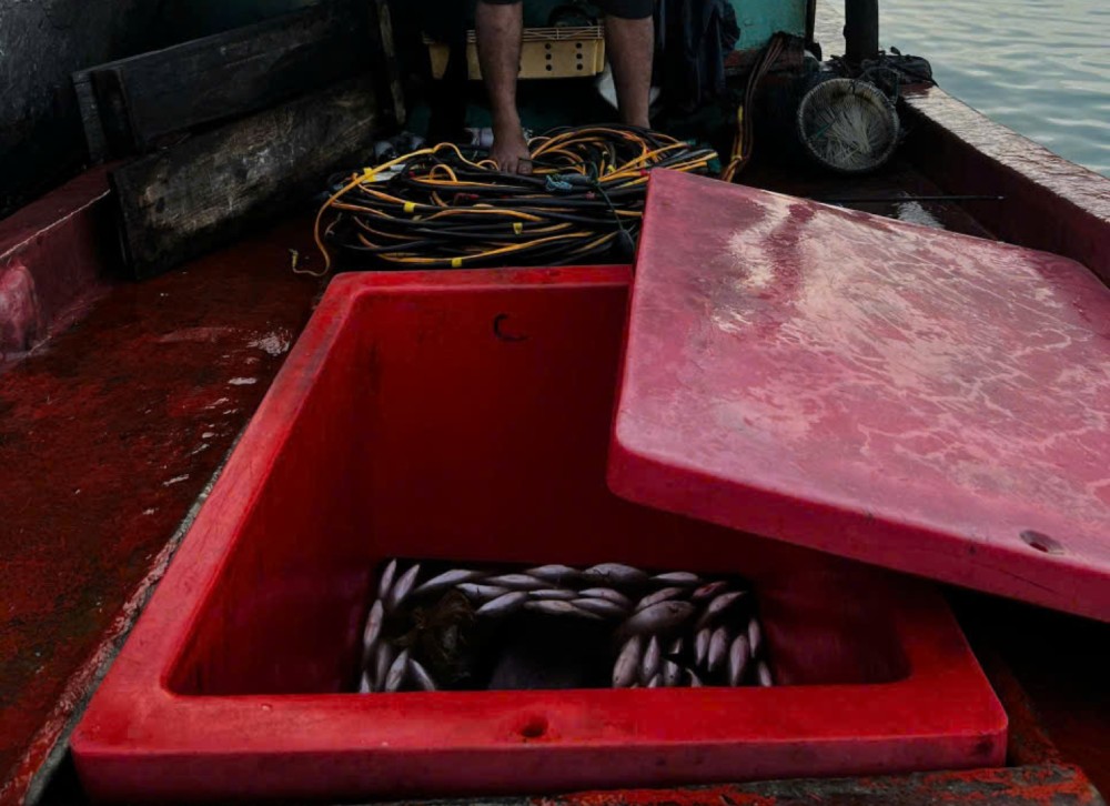 Se descubrio que el barco pesquero contenia un conjunto de herramientas electricas. Foto: Bien phong proporcionada