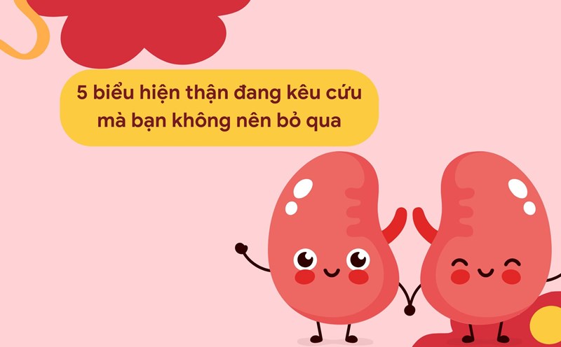 Obesity, especially in the legs and ankles, is a sign that the kidneys are calling for help and need to be checked. Graphic photo: Huong Son