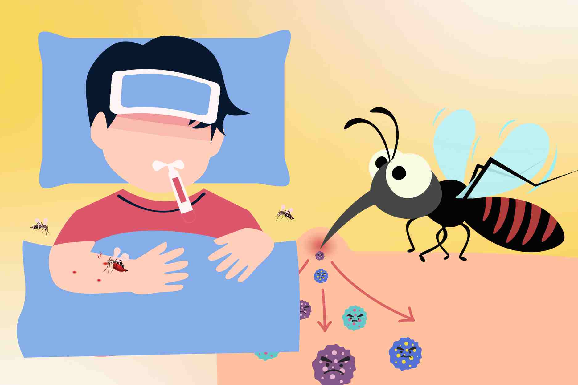 Dangerous complications of malicious malaria, risk of death