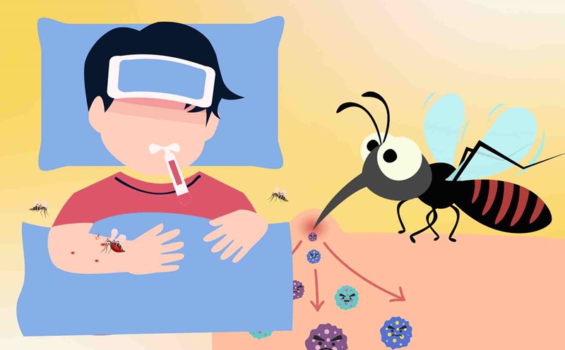 Dangerous complications of malicious malaria, risk of death