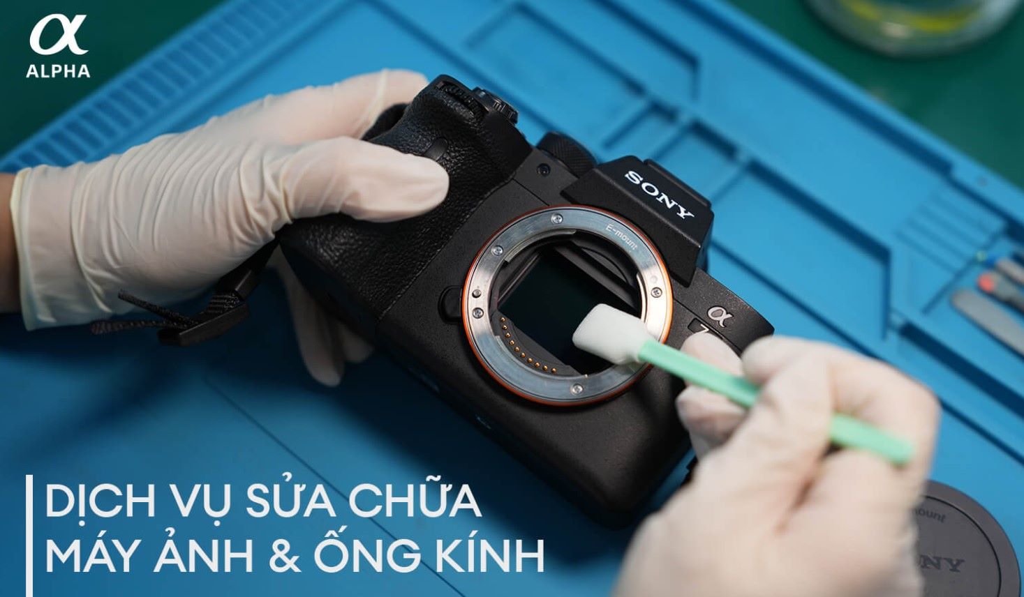 Sony Vietnam recommends that customers bring the product to the Authorized Warranty Center to ensure the best service quality. Photo: Sony Vietnam