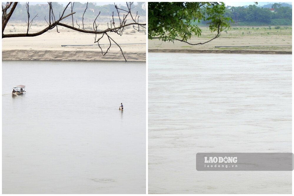 2025년 초 반다를 찍은 같은 각도 (왼쪽 사진): 오늘날까지 홍강 한가운데 서서 반다를 잡는 사람들 (오른쪽 사진): 강은 이미 광활한 물로 가득 차 있습니다. 사진: To Cong.