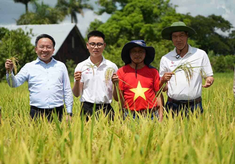 ドキュメンタリー映画「Hat giong hanh phuc」は、ベトナムとキューバで並行して放送されます。写真:VTV