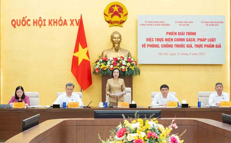 Vice Chairwoman of the National Assembly Nguyen Thi Thanh said that the harmful effects of fake drugs and fake foods on people's health and the economy is huge. Photo: Pham Thang.