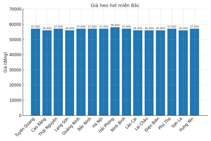 Gia heo hoi ngay 21.8 tai khu vuc mien Bac. Do hoa: Thuy Linh