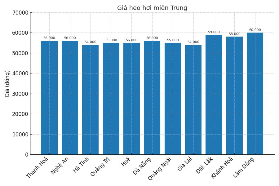 Gia heo hoi ngay 21.8 tai khu vuc mien Trung. Do hoa: Thuy Linh