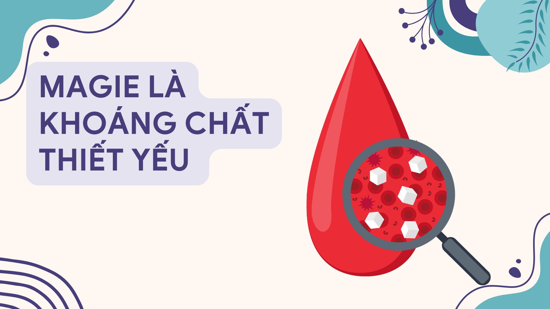 Prioritize foods rich in magnesium to help stabilize blood sugar. Graphic photo: Huong Son