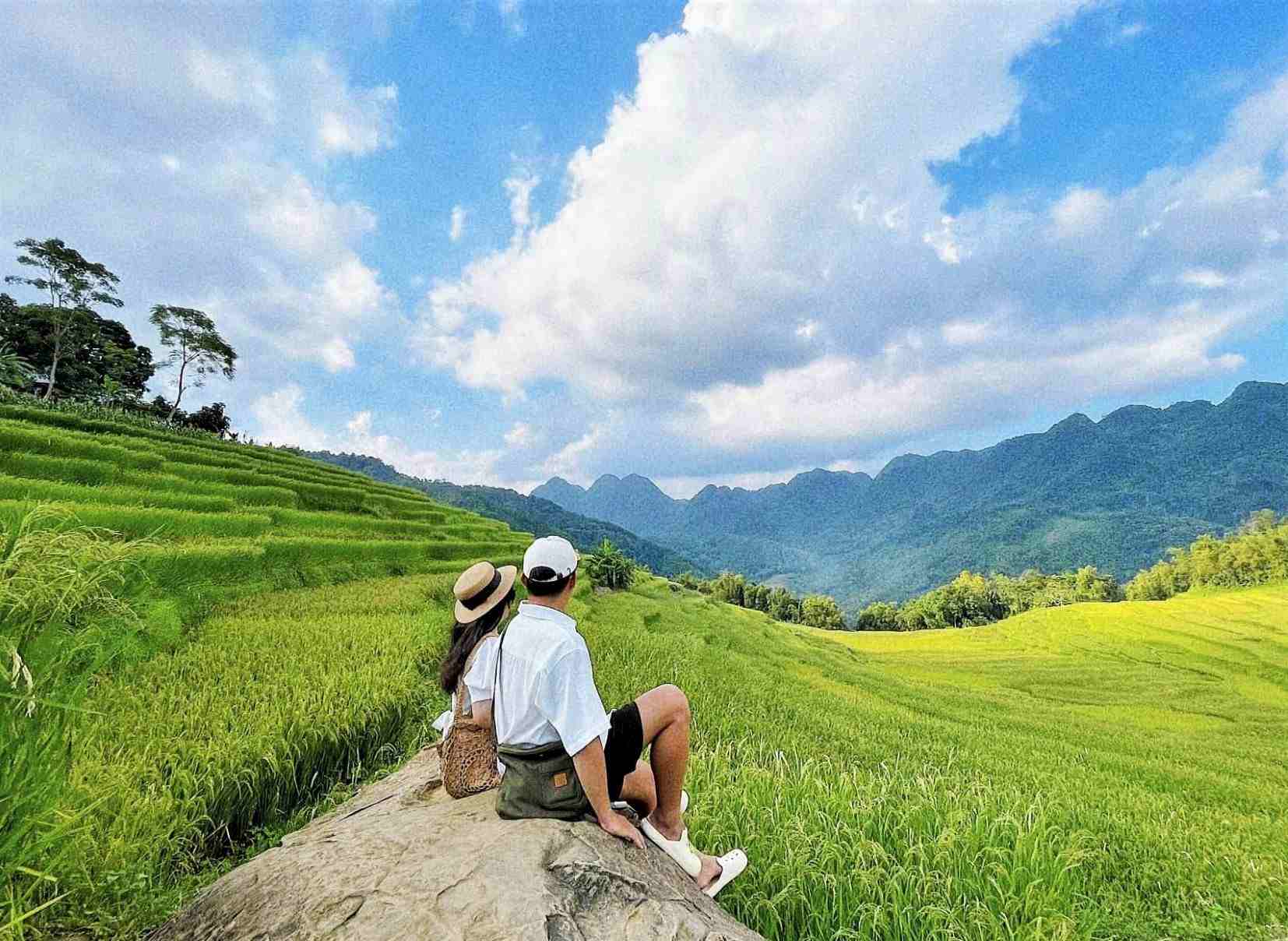 Cuối tháng 8 tới hết tháng 9 lúa còn xanh ở Bản Đôn, Pù Luông. Ảnh: khu nghỉ dưỡng