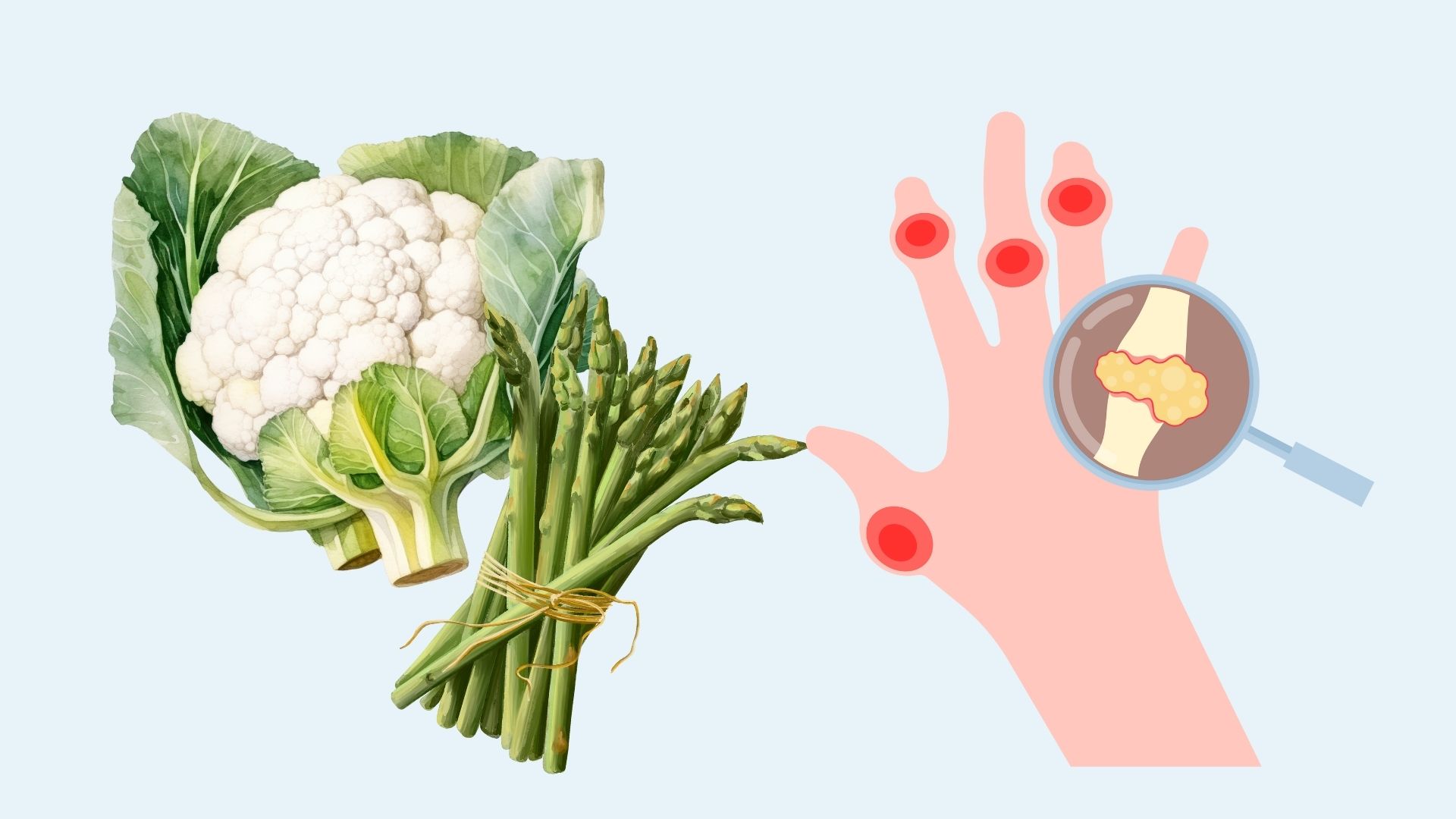 Stay away from these vegetables if you do not want uric acid to increase. Graphics: Linh Dan