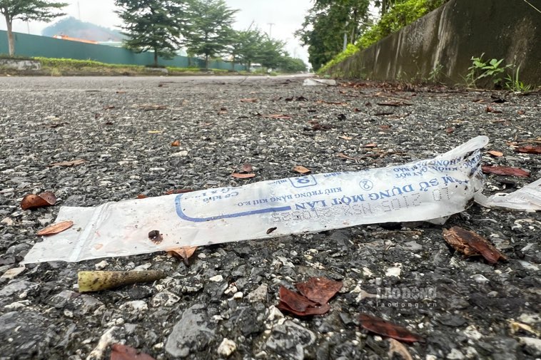 Loi vao rai rac kim tiem. Anh: Dang Vu.