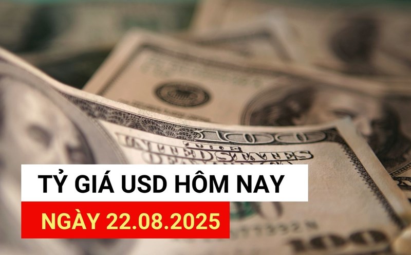 USD exchange rate today, August 22: Reasons for the strong increase in USD