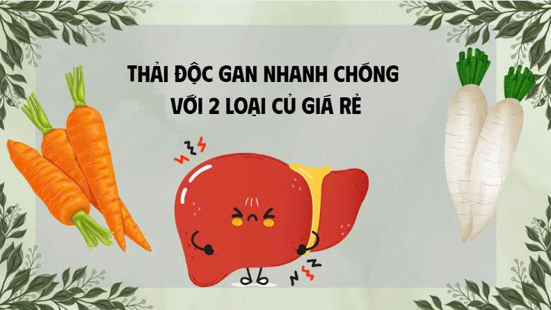 Detoxify the liver quickly with 2 cheap tubers